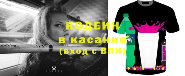 молекула духа Арсеньев