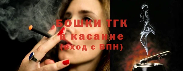 молекула духа Арсеньев