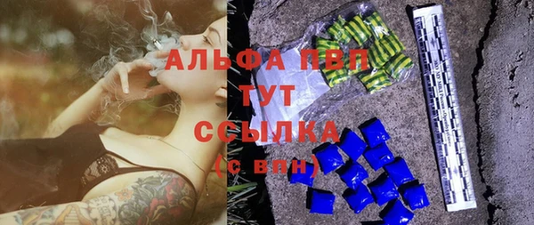 молекула духа Арсеньев